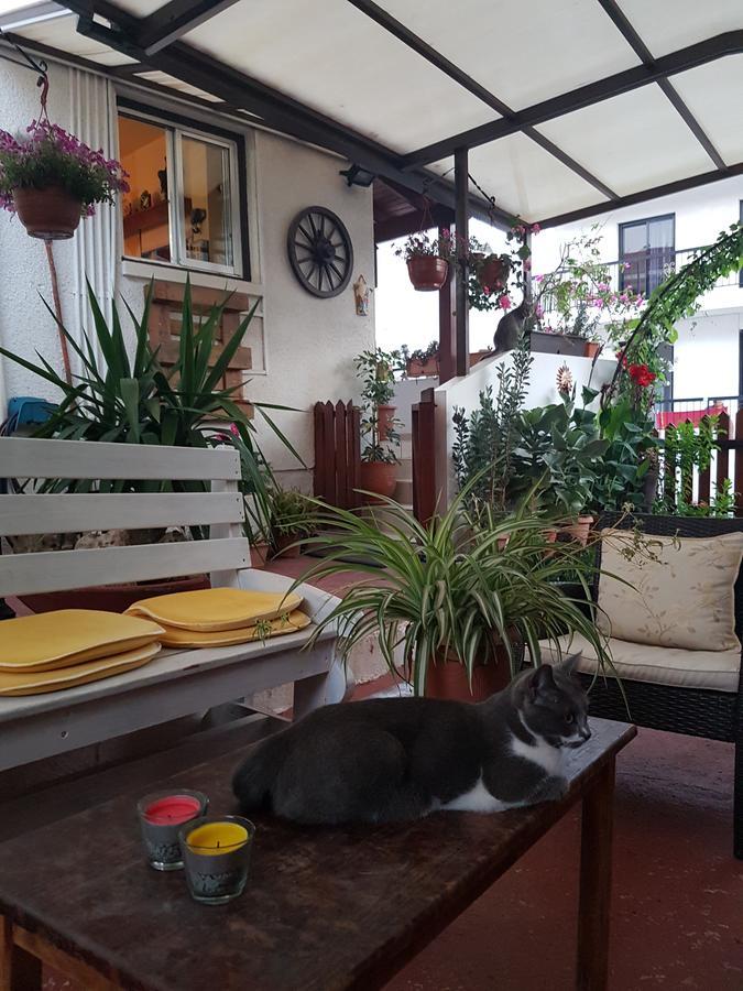 Estia Vasilis Manoli Lägenhet Ayia Napa Exteriör bild